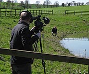 Image: Mark Stevens BBC at Pond at Dairy