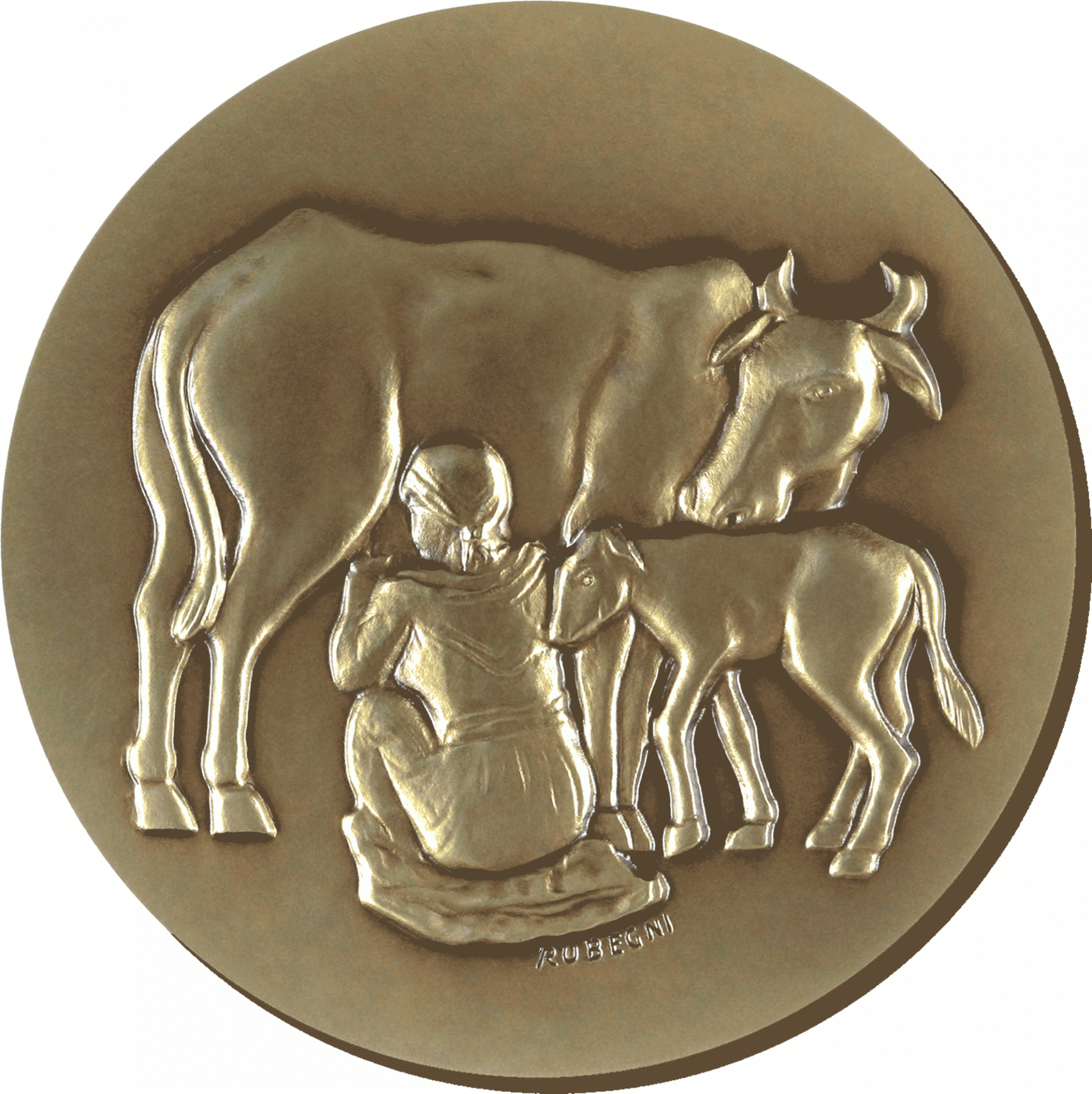FAO Medal for Rinderpest Eradication front