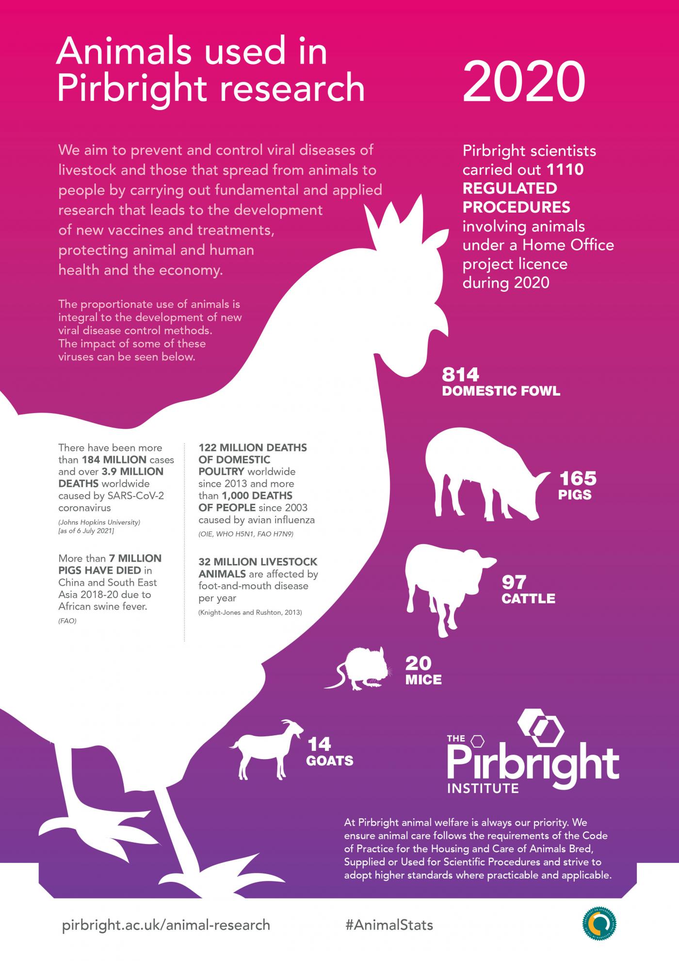 Infographic detailing the 2020 animals in research statistics for The Pirbright Institute