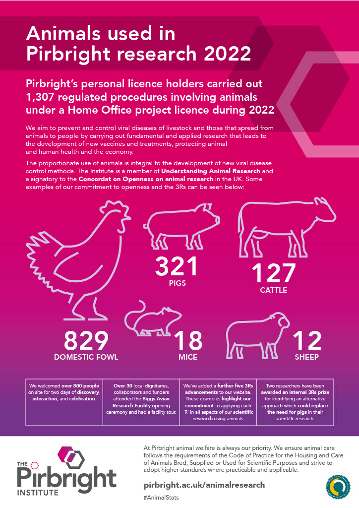 Pink and purple infographic with farm animals showing the numbers of each used in 2022