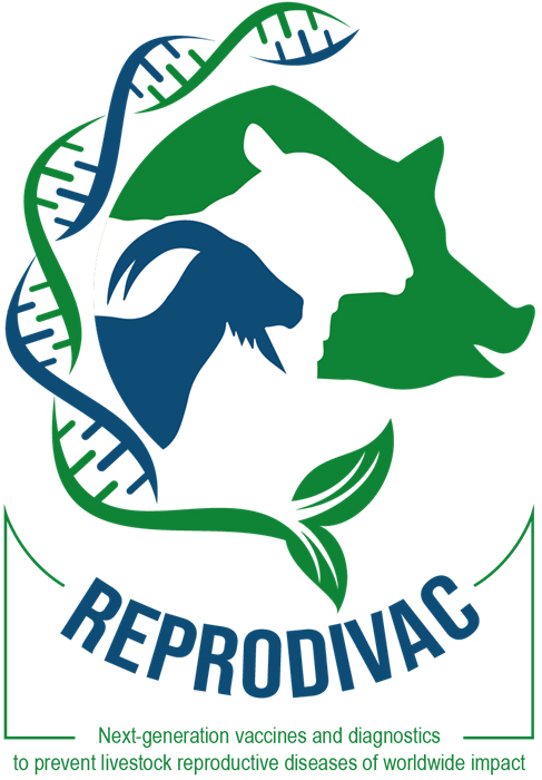 REPRODIVAC logo. Green and blue DNA strand with a blue goat head graphic. Text reads REPRODIVAC next-generation vaccines and diagnostics to prevent livestock reproductive diseases of worldwide impact