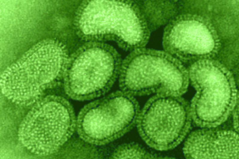 Green image showing influenza infected cells