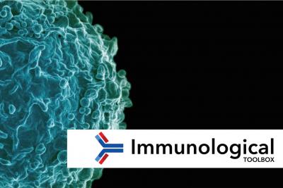 Immunological toolbox logo and flyer, showing a colourised scanning electron micrograph of a B cell from a human donor [credit NIAID]