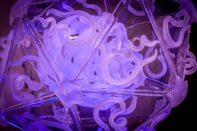 Glass model of foot-and-mouth-disease virus (FMDV), lit in purple