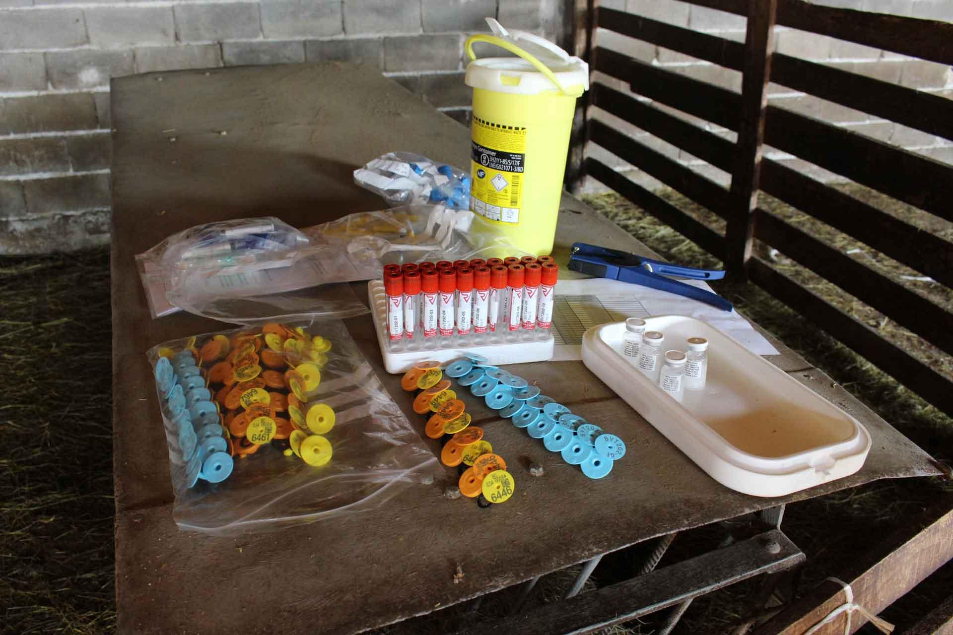 Bulgarian Crimean Congo haemorrhagic fever vaccine trial vaccine trial CCHF bulgaria