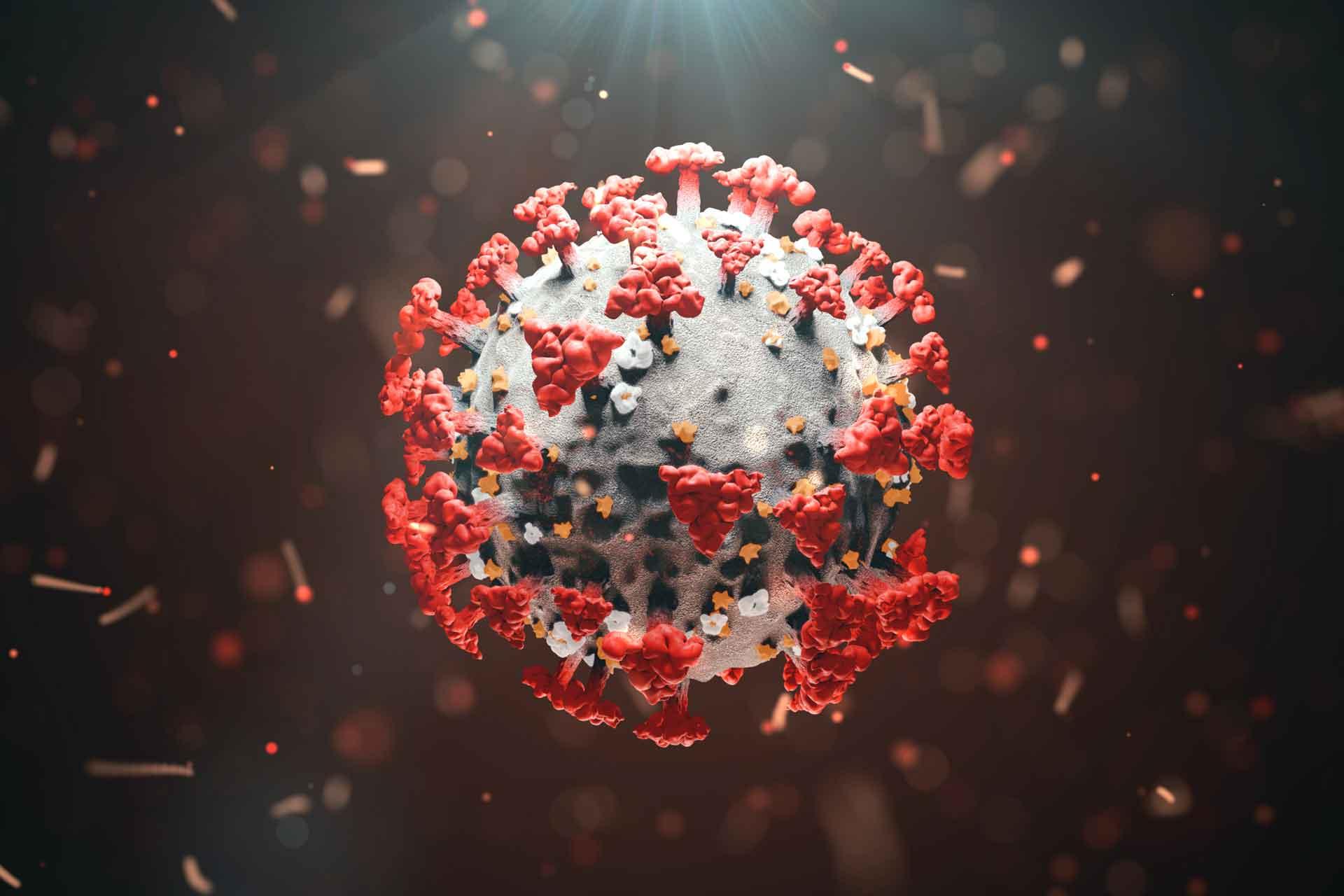 graphic representation of the coronavirus graphic representation of the coronavirus