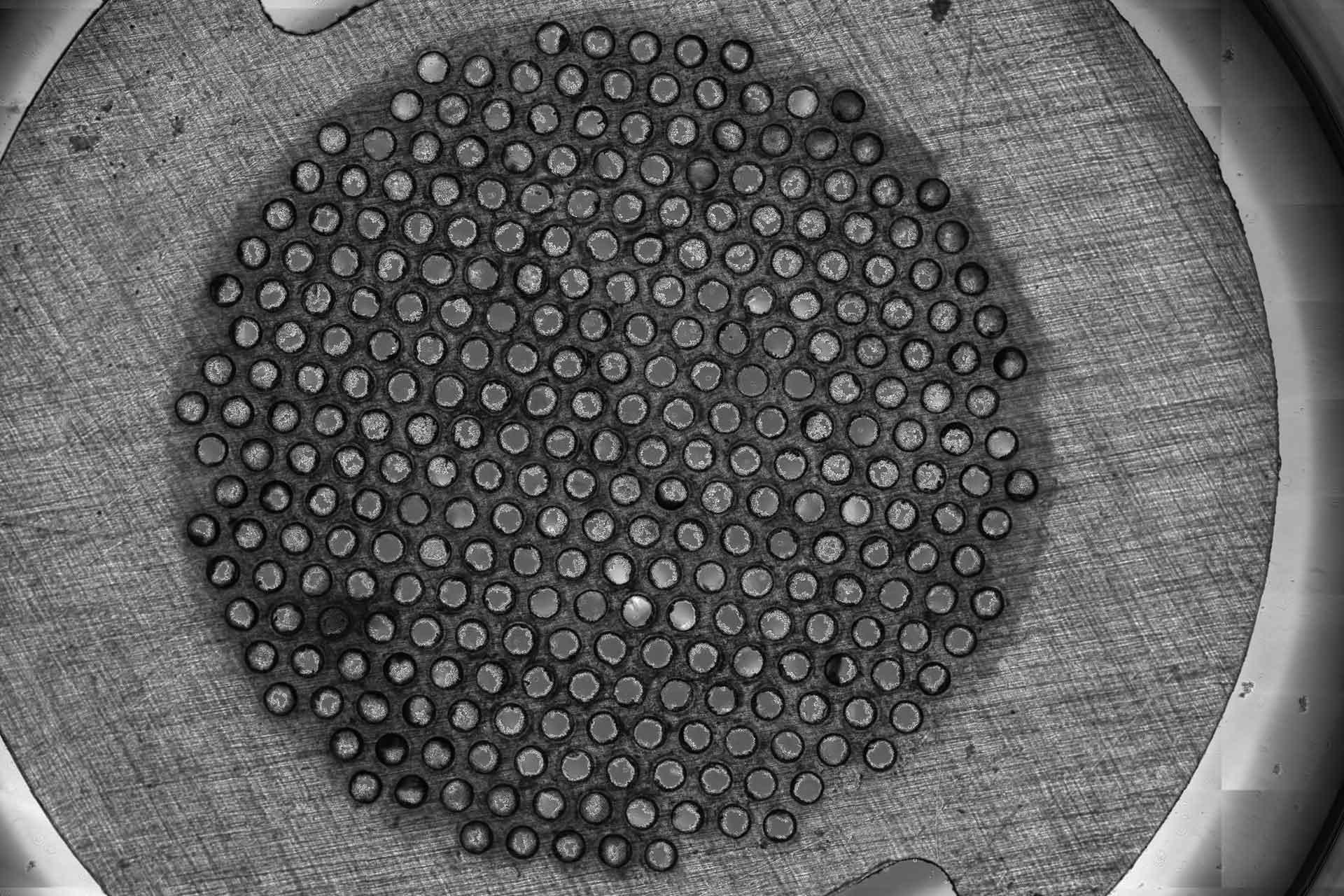 Cells in the CN Bio Physiomimix technology Cells in the CN Bio Physiomimix technology