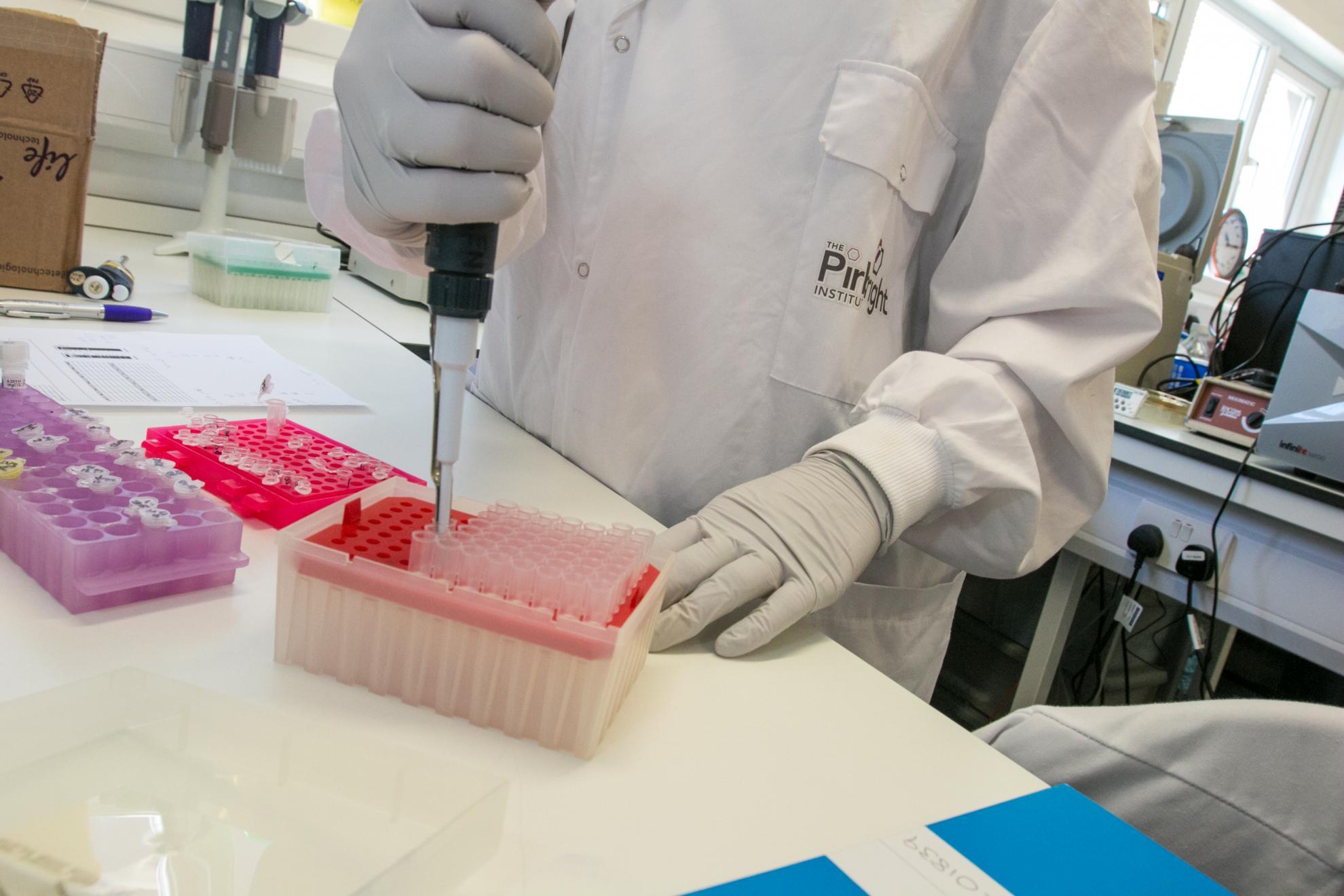 Pipetting at bench